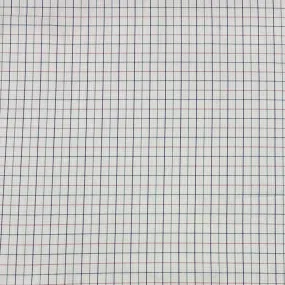 Blue and Red Checkered Cotton Shirting Fabric