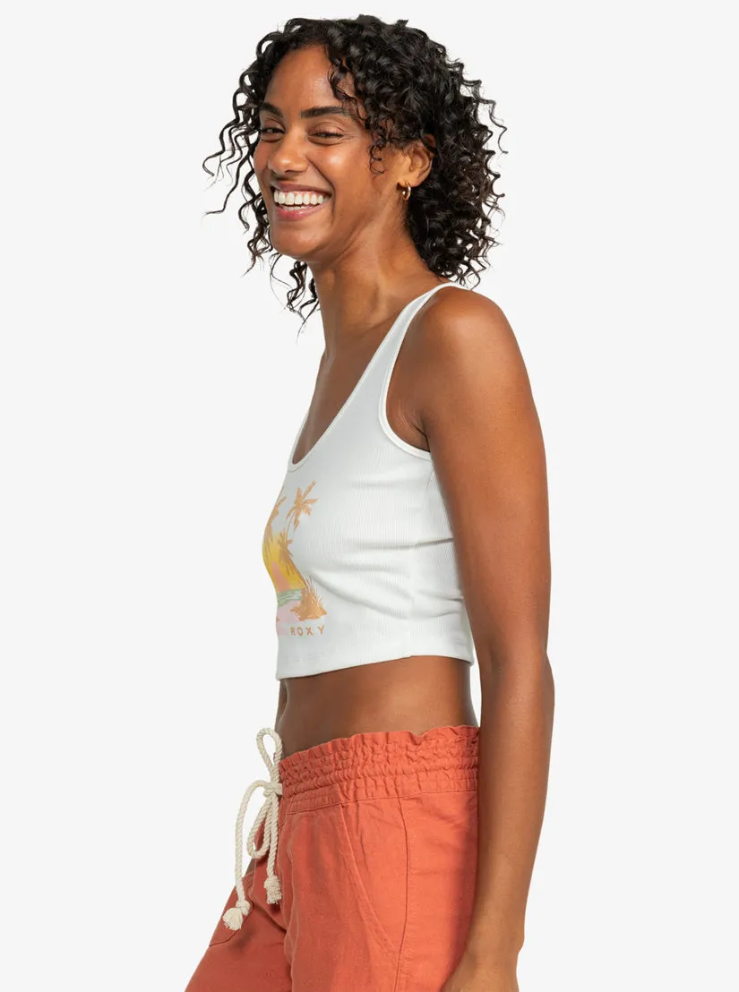 Roxy Sunset Beach Dive In Tank