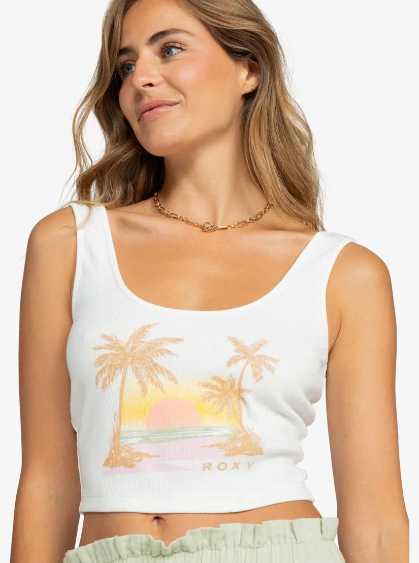 Roxy Sunset Beach Dive In Tank