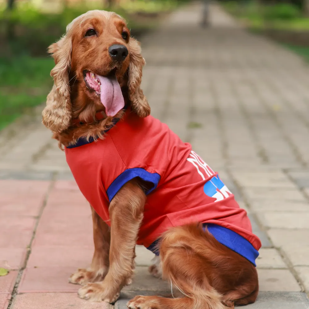 Super Saver Pack of 2 T-shirts Fun