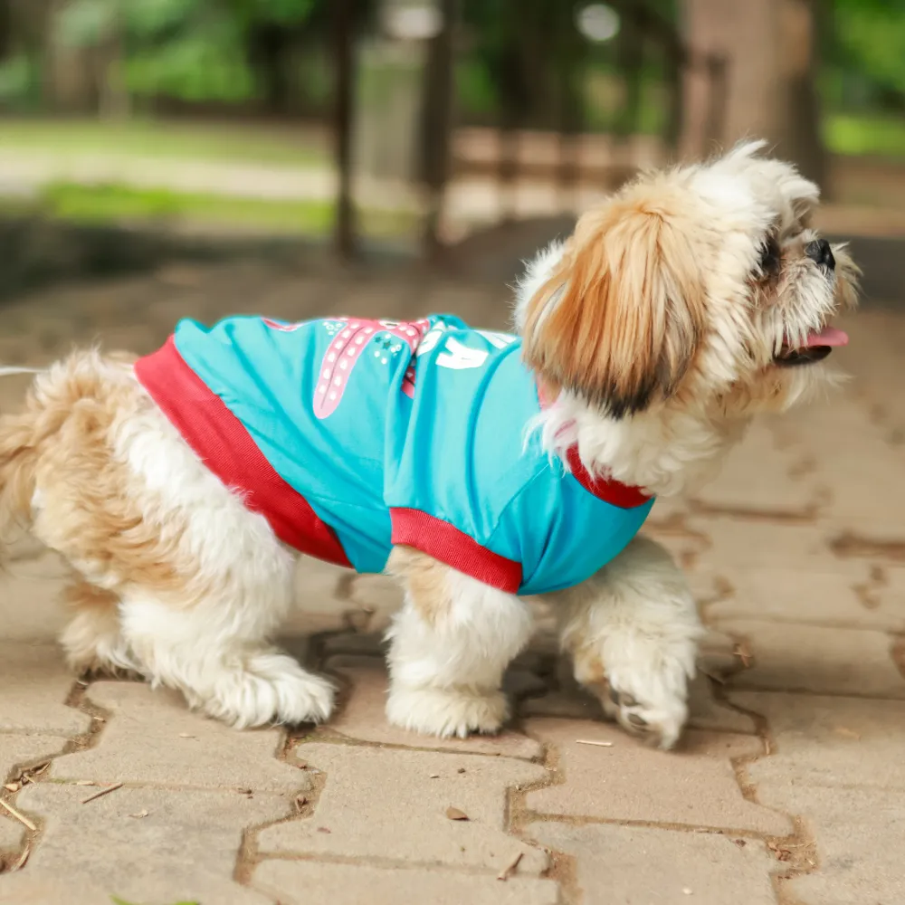 Super Saver Pack of 2 T-shirts Fun